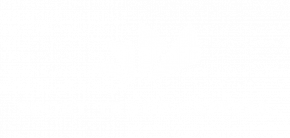 Sport Trade Capital